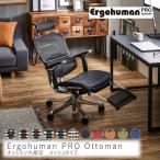 Ｅｒｇｏｈｕｍａｎ　ＰＲＯ　Ｏｔｔｏｍａｎ　メッシュタイプ　Ｅｒｇｏｈｕｍａｎ　ｐｒｏ　エルゴヒューマン　プロ　オフィスチェア