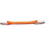 トラスコ中山(TRUSCO) ベルトスリング 両端アイ形 25mmX0.5m G2505