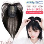 部分ウィッグ 女性 人毛100％ 黒 薄毛対策 頭頂部 生え際 抜け毛 円形脱毛症 白髪 通気性 着けやすい 軽量 ポイントウィッグ ウィッグ 部分用 医療用