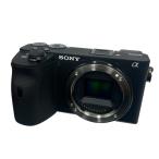 SONY α6600