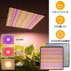 �A���琬���C�g LED �p�l�� 500��LED ���� ���O�p �t���X�y�N�g�� �ϗt�A�� �����A�� �������| �A�����C�g 600W���� �\�[���[ led �����͔| ��؍H��