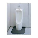 UFH508CR+TG600PN TOTO пол . писсуар ( маленький форма ПВХ осушение труба для ) flash клапан(лампа) есть бесплатная доставка 