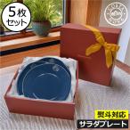 コスタノバ 食器 ギフトセット 食器セット 結婚祝い パスタ皿 新生活セット プレゼント お皿セット ギフト おしゃれ COSTA NOVA サラダプレート 5枚セット