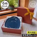 コスタノバ 食器 ギフトセット 食器セット 結婚祝い パスタ皿 新生活セット プレゼント お皿セット ギフト おしゃれ COSTA NOVA サラダプレート 6枚セット