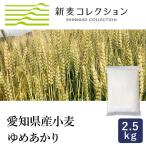 強力粉 新麦コレクション 新麦 ゆめあかり 西尾製粉 2.5kg 季節限定 国産小麦 小麦粉