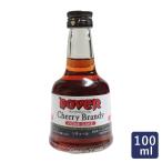 ドーバー チェリーブランデー 100ml ブランデー ホームケーキ用 さくらんぼ