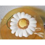  Pink House PINKHOUSE Margaret букетик 