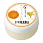 スパジリック ビーC (大)  ホメオパシージャパン 日本豊受自然農