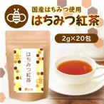 公式 温活農園 はちみつ紅茶 2g×20包 ティーバッグ 糸付き 濃厚 ハチミツ紅茶 蜂蜜紅茶 極上 紅茶 ギフト 送料無料