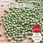 [.. пачка бесплатная доставка ] чёрный бог [900g] Yamagata префектура производство высшее маленький синий большой бобы редкий синий бобы пестициды не использование удобрение не использование природа культивирование . бобы .. включая .. . тест .