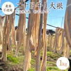 [ takkyubin (доставка на дом) ] 2 10 день высушенный дайкон сломан высушенный дайкон [1kg] Gunma префектура производство 10 знак дайкон пестициды * химия удобрение не использование порез . дайкон десятая часть высушенный дайкон дайкон дайкон. .. ... солености tsukemono 