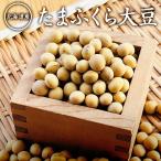 [ экспресс доставка на дом ] Tama ... большой бобы [500g] Hokkaido производство большой бобы . мир 6 год производство ... только ..... большой бобы 