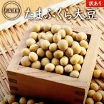 【ゆうパケット送料無料】【500g】たまふくら大豆 中粒 令和3年産 【フードロス】たまふくら 北海道産大豆 不揃いやや粒が小さめ 甘くてとっても美味しい大豆