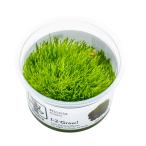 水草トロピカ社1-2-Grow!リ...