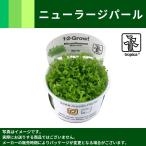 1.2.Grow!｜ニューラージパ...