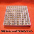 丸形パイロットランプ G11 BA9S 30V 1W [