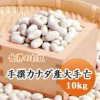 豆 白いんげん豆 大手亡 カナダ産 送料無料 10kg