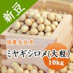 送料無料 ミヤギシロメ大豆 宮城県産 大粒 令和５年産 10kg 業務用