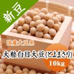 豆 大豆　とよまさり 北海道産 送料無料 味噌 令和５年産 10kg