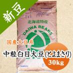 豆 大豆 中粒白目大豆 とよまさり 北海道産 送料無料 味噌 令和３年産 30kg 業務用