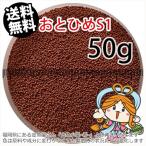 ...(. внизу .) день Kiyoshi круг .. стоимость ....S1(1.0mm)50g небольшое количество . товар ( почтовая доставка | золотая рыбка маленький магазин -.- Fukuoka |3 день )