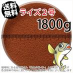 ショッピング金魚 日清丸紅飼料ライズ2号(粒径0.36mm)1800g小分け品(メール便／金魚小屋-希-福岡／3日)2kgから規格変更※開封アルミパウチ１枚入り