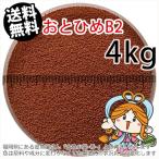 ショッピング金魚 沈降性(沈下性)日清丸紅飼料おとひめB2(0.36〜0.62mm)4kg小分け品(★宅配便★※東北・北海道・沖縄は別途送料800円／金魚小屋-希-福岡／3日)
