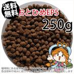 ...(. внизу .) день Kiyoshi круг .. стоимость ....EP5(5.1~4.3mm)250g небольшое количество . товар ( почтовая доставка | золотая рыбка маленький магазин -.- Fukuoka |3 день )