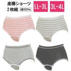 [ mail service free shipping ]2 sheets set postpartum shorts LL~3L 3L~4L size go in . preparation cotton birth preparation postpartum period black chi waterproof one touch tape 2 pieces set underwear 