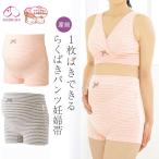 メール便送料無料 犬印本舗 妊婦帯 HB8380 らくばきパンツ妊婦帯 M L サイズ <br> 腹帯 腹巻 はらまき 犬印 マタニティ マタニティー 妊婦 産前 パンツ
