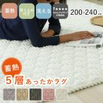 カーペット ラグ 敷物 絨毯 じゅうたん 200x240cm 蓄熱ラグ フェリス