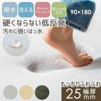 ショッピング低反発 低反発ラグ はっ水 厚手 25mm 1.5畳