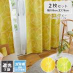 既製 既成 ドレープ ドレイプ カーテン 2枚入り  100x178cm ドレープカーテン ハミングビー