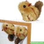 Yahoo! Yahoo!ショッピング(ヤフー ショッピング)リス ぬいぐるみ 動物園 AQUA ネイチャーマグネット シマリス 座り 6.5cm