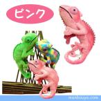 Yahoo! Yahoo!ショッピング(ヤフー ショッピング)カメレオン グッズ ぬいぐるみ 爬虫類 トカゲ A-SHOW（栄商） カメレオン ピンク
