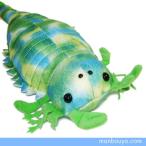 Yahoo! Yahoo!ショッピング(ヤフー ショッピング)古代の海洋生物　古代魚　ぬいぐるみ・グッズ　A-SHOW（栄商）　昔の海の動物　プテリゴートゥス　40cm　まんぼう屋ドットコム