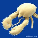 Yahoo! Yahoo!ショッピング(ヤフー ショッピング)深海生物のぬいぐるみ　水族館 グッズ　A-SHOW（栄商）　深海魚シリーズ　ゴエモンコシオリエビ　28cm　まんぼう屋ドットコム