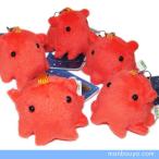 Yahoo! Yahoo!ショッピング(ヤフー ショッピング)メンダコのぬいぐるみ 水族館 グッズ A-SHOW 深海魚 しんかいさん 携帯ストラップ レッド 4.5cm メール便発送可