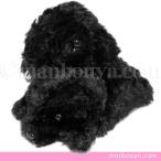 Yahoo! Yahoo!ショッピング(ヤフー ショッピング)犬のぬいぐるみ プードル グッズ 雑貨 A-SHOW（栄商） Little Beans（リトルビーンズ） プードルブラック 10cm メール便発送可