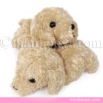  собака. мягкая игрушка пудель товары смешанные товары A-SHOW(. quotient ) Little Beans( little beans ) пудель Brown 10cm почтовая доставка отправка возможно 