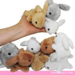 10%OFF ぬいぐるみ うさぎ Little Beans リトルビーンズ ウサギ 10個セット 人気の4色　まんぼう屋ドットコム