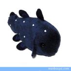 シーラカンス ぬいぐるみの人気商品 通販 価格比較 価格 Com