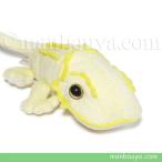 Yahoo! Yahoo!ショッピング(ヤフー ショッピング)トカゲのぬいぐるみ 爬虫類 雑貨 A-SHOW Little Beans フトアゴヒゲトカゲ 14cm