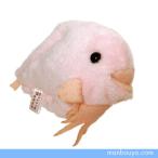 Yahoo! Yahoo!ショッピング(ヤフー ショッピング)深海魚 ぬいぐるみ 水族館 グッズ A-SHOW 栄商 Little beans リトルビーンズ サケビクニン 9cm メール便発送可