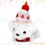 Yahoo! Yahoo!ショッピング(ヤフー ショッピング)犬 ぬいぐるみ アクセサリー セット A-SHOW リトルビーンズ マルチーズ 13cm ハッピーケーキ帽子