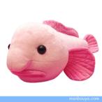 Yahoo! Yahoo!ショッピング(ヤフー ショッピング)ニュウドウカジカのぬいぐるみ　水族館 グッズ　おみやげ　A-SHOW（栄商）　深海魚　ブロブフィッシュ　50cm　まんぼう屋ドットコム
