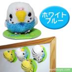 Yahoo! Yahoo!ショッピング(ヤフー ショッピング)小鳥 雑貨 インコ グッズ ぬいぐるみ A-SHOW ムニュマムマグネット　セキセイインコ　ホワイト/ブルー 5cm　メール便発送可