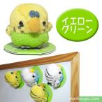 Yahoo! Yahoo!ショッピング(ヤフー ショッピング)小鳥 雑貨 インコ グッズ ぬいぐるみ A-SHOW ムニュマムマグネット　セキセイインコ　イエロー/グリーン 5cm メール便発送可