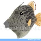 リアル 魚 ぬいぐるみ カワハギ 海の生き物 A-SHOW 栄商 釣り人シリーズ 32cm