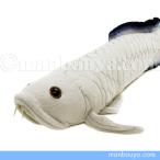 Yahoo! Yahoo!ショッピング(ヤフー ショッピング)シルバーアロワナ ぬいぐるみ 古代魚 A-SHOW 栄商 わくわく図鑑 アロワナ 37cm